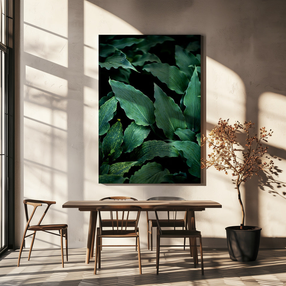 Dark Leaves 15 | Canvas