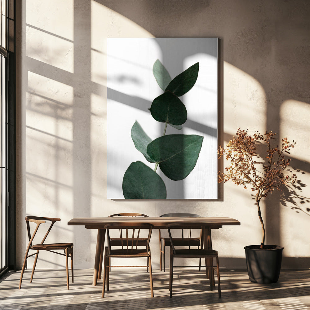Eucalyptus 4 A1 | Canvas