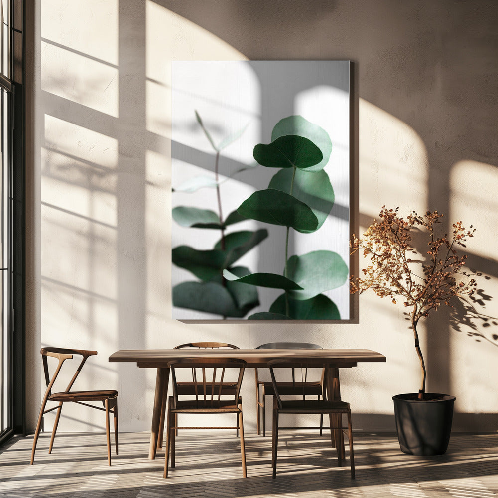 Eucalyptus 5 A1 | Canvas