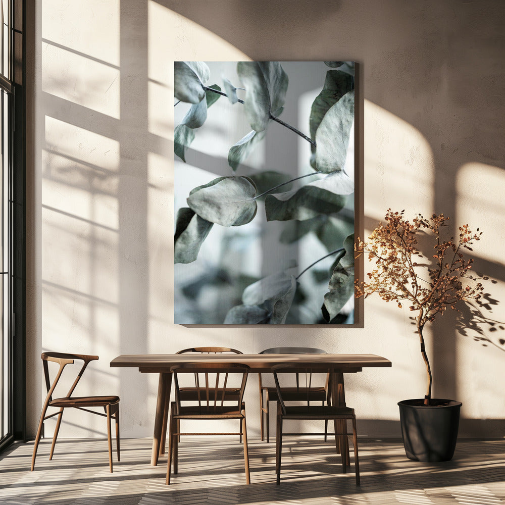 Eucalyptus 8 | Canvas