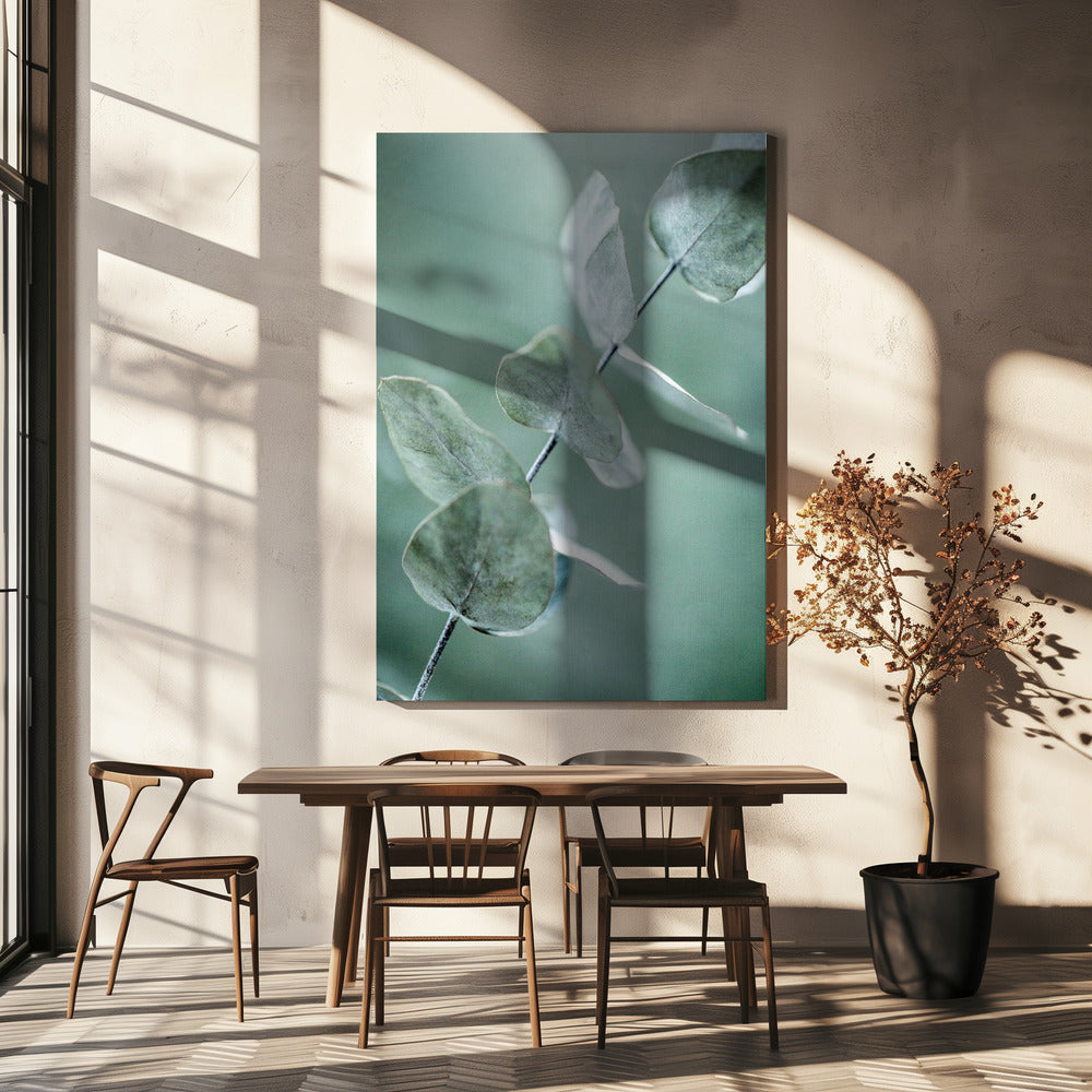 Eucalyptus 9 | Canvas