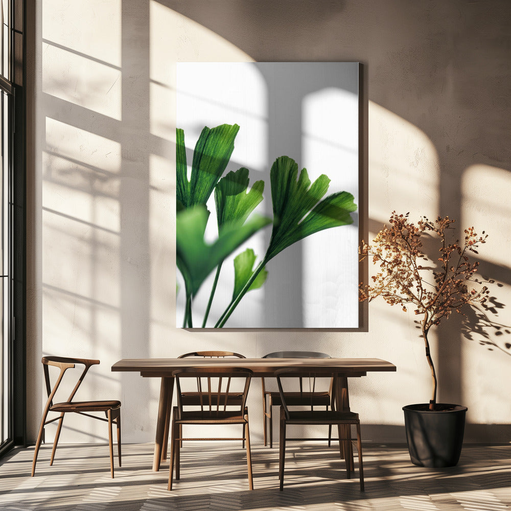 Ginko 4 | Canvas