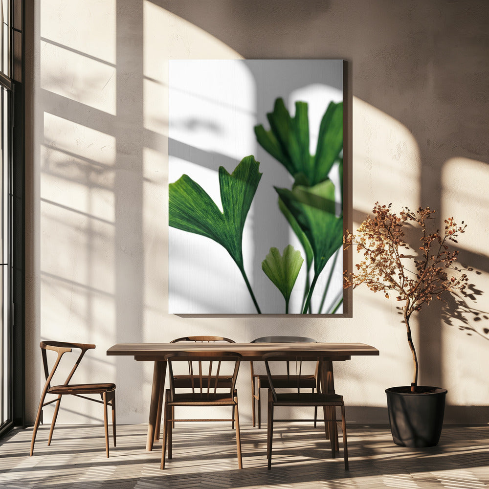 Ginko 5 | Canvas