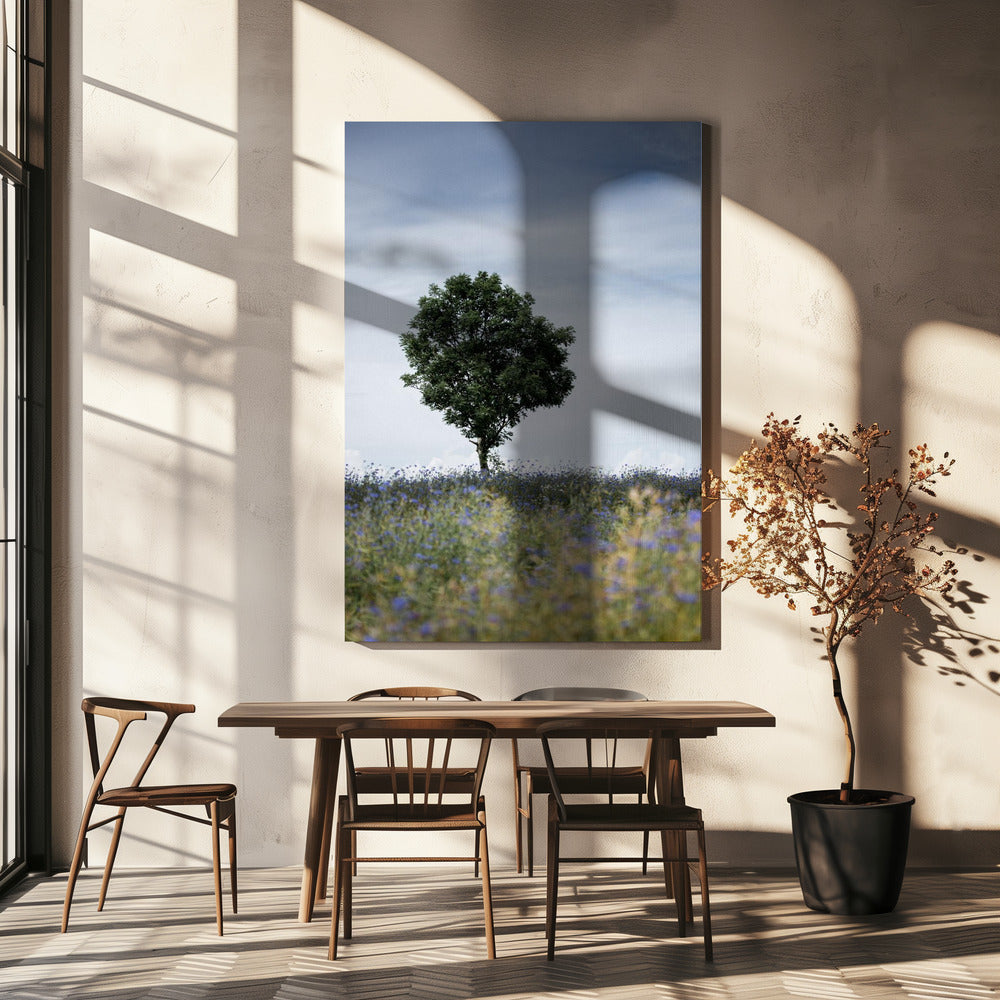 Sommerwiese | Leinwand