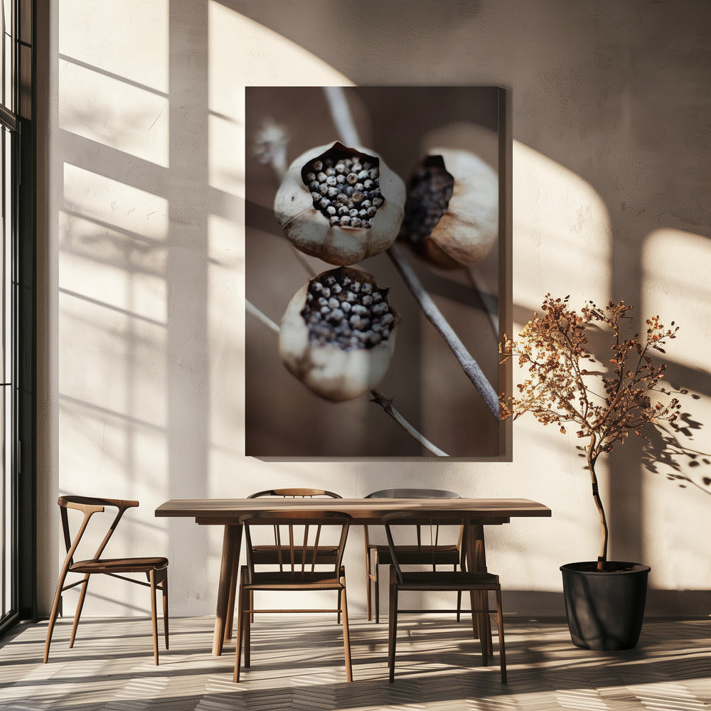 Kapseln der Natur | Leinwand