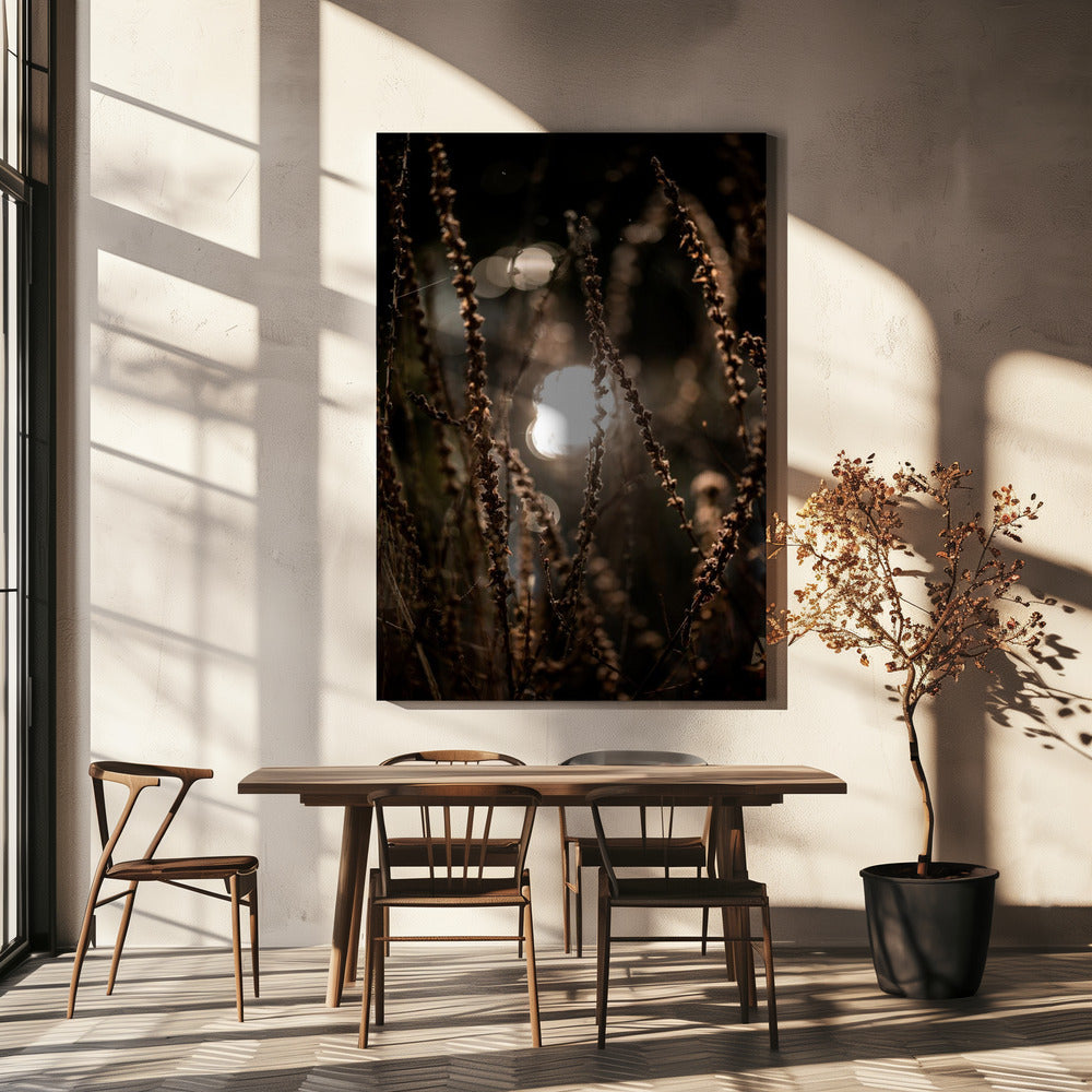 Herbstlichter 2 | Leinwand