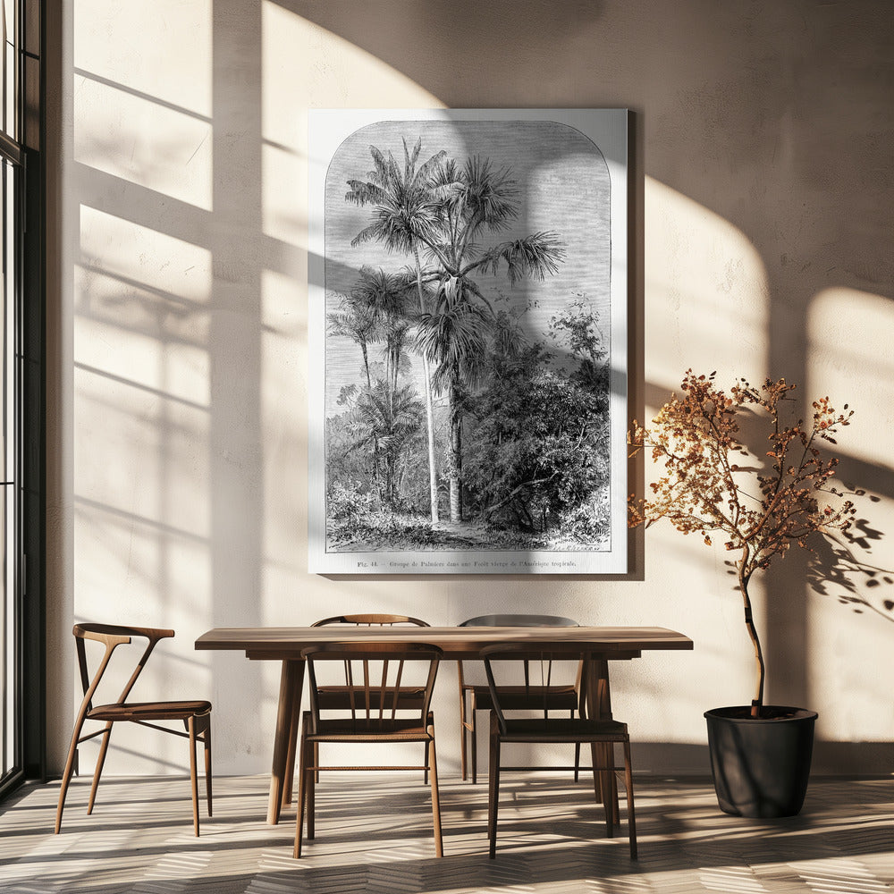 Vintage Palm Tree Drawing Iv | Canvas