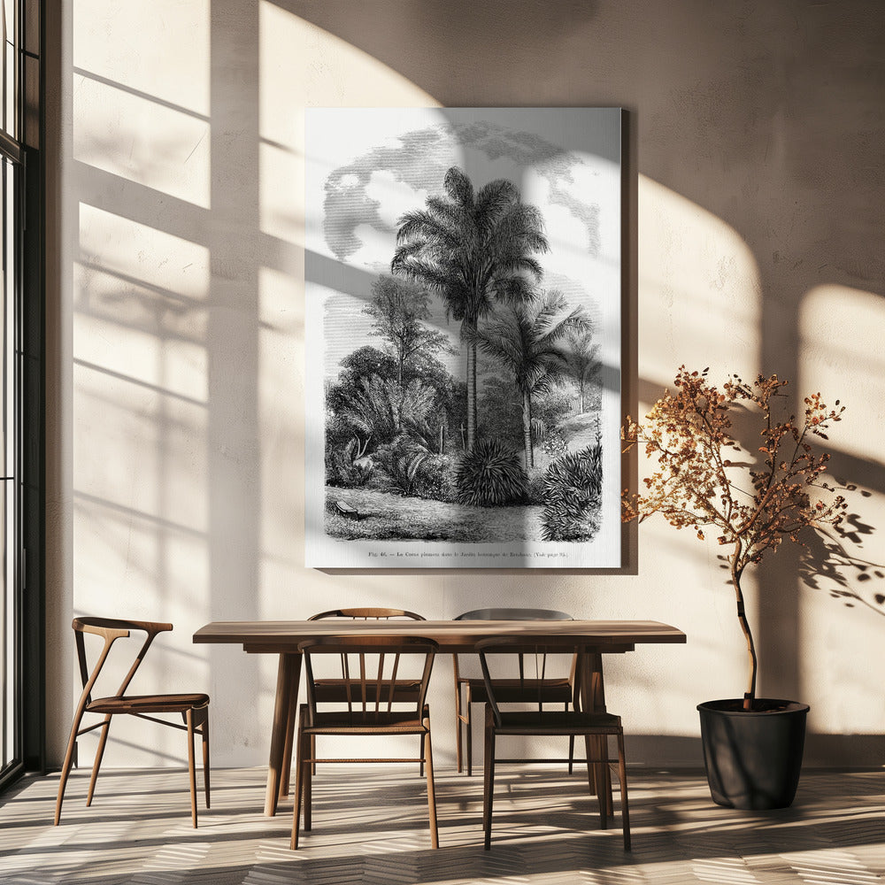 Vintage Palm Tree Drawing Vi | Canvas