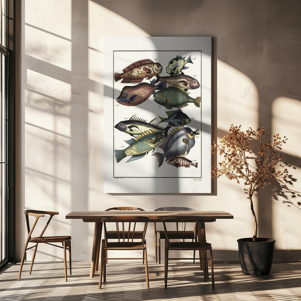 Exotic Fish (1767) By J V Schley | Canvas