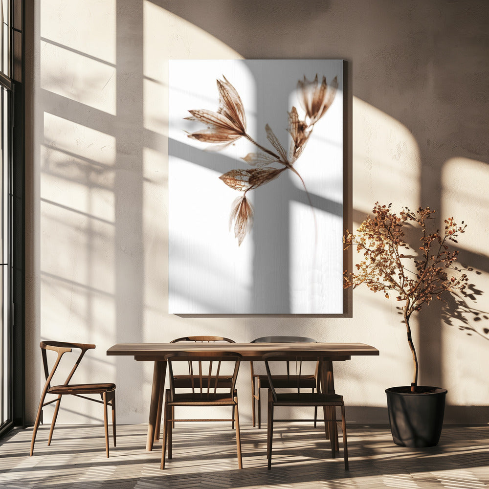 Delicate Plant I | Canvas
