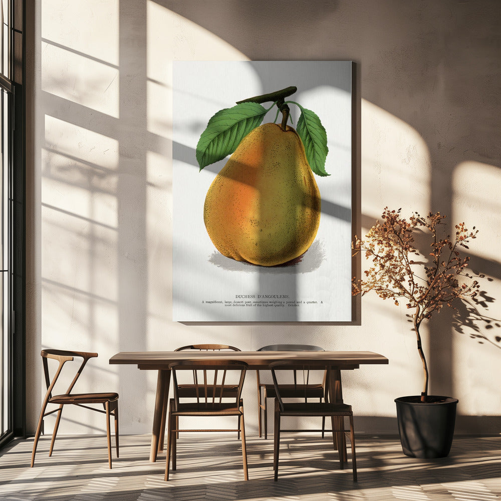 Herzogin D'angouleme Birnenlithographie | Leinwand