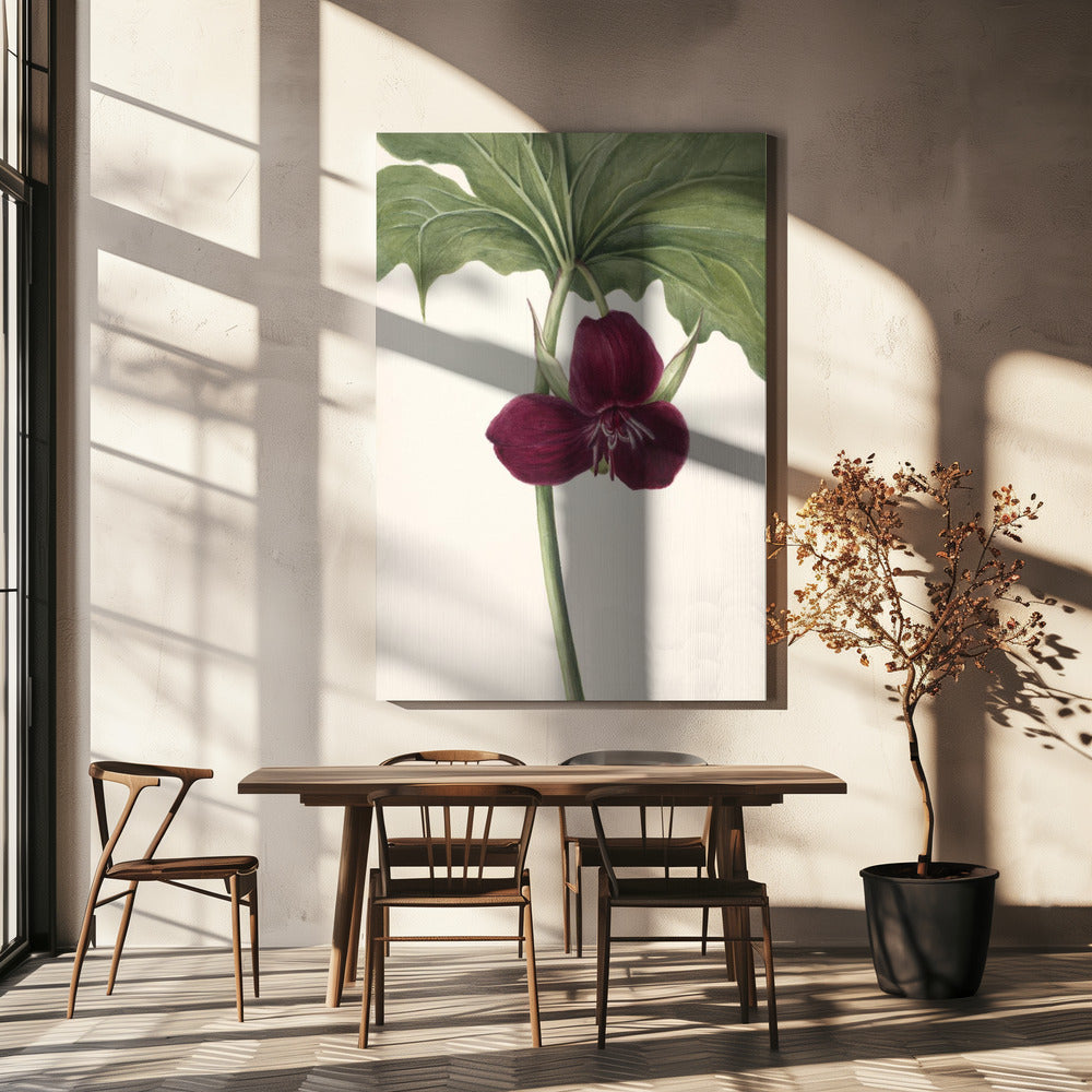 Süßes Trillium | Leinwand