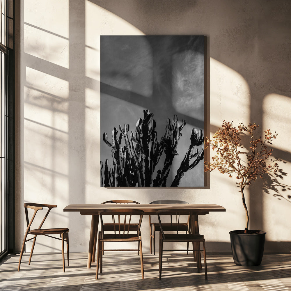 Monochrome Cactus Sky | Canvas
