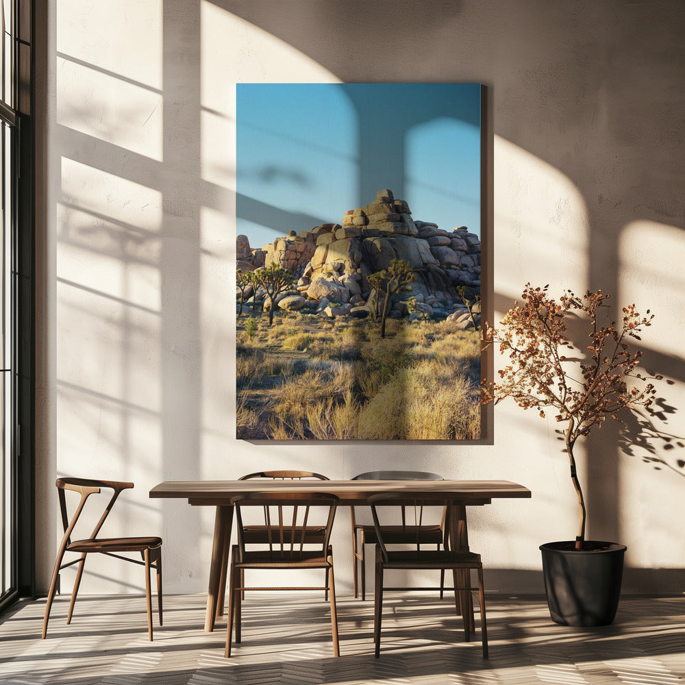 Joshua Tree Sonnenuntergang | Leinwand