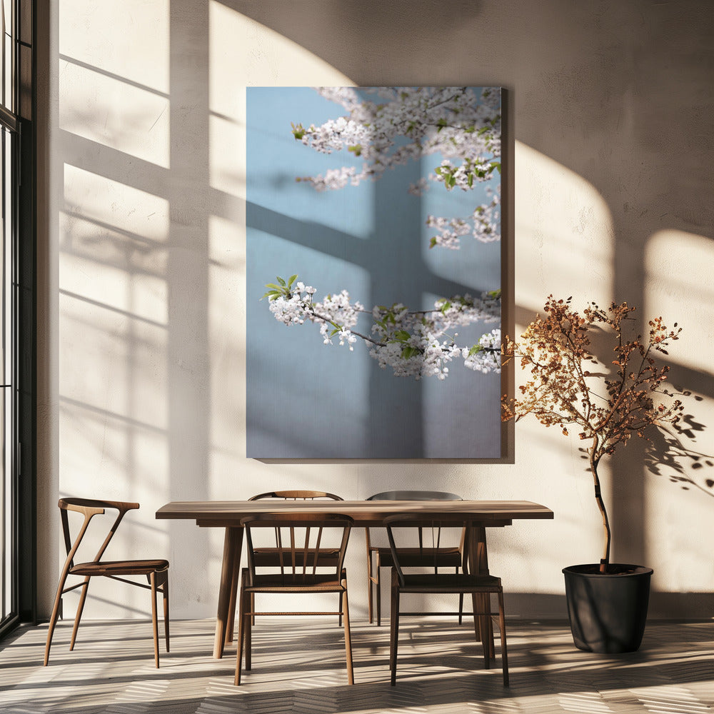 Colorful Spring 14 | Canvas
