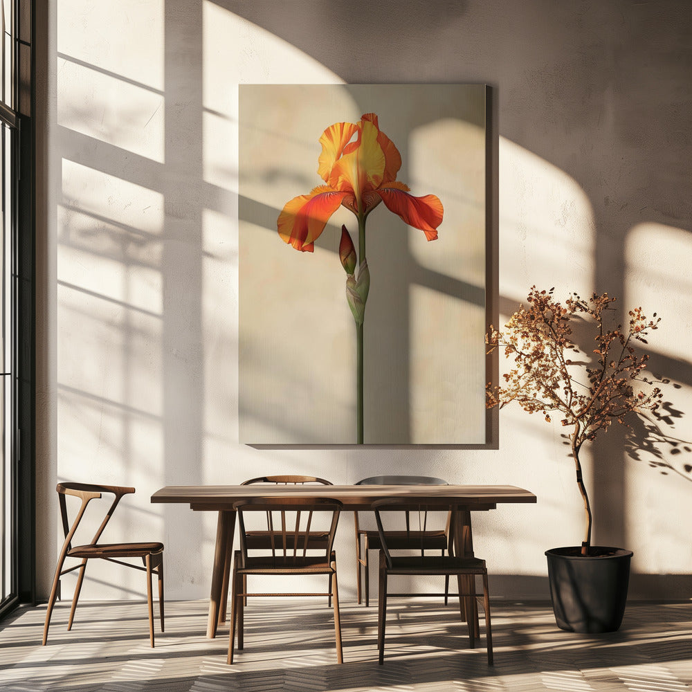Poster Canvas Sng Iris 34 | Canvas