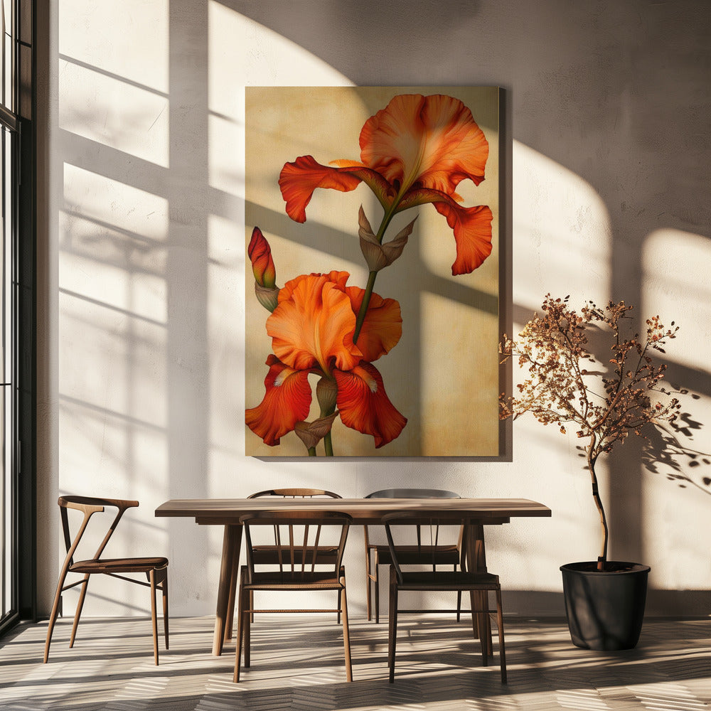 Poster Canvas Sng Iris 36 | Canvas