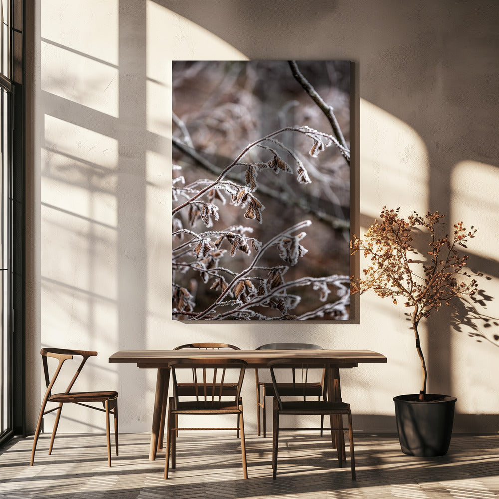 Winter Branches 18 | Canvas
