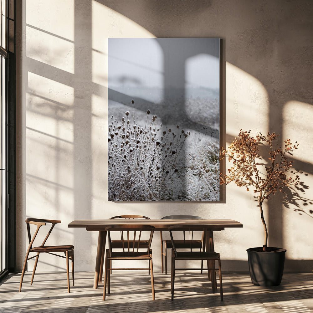 Winter Field 4 | Canvas