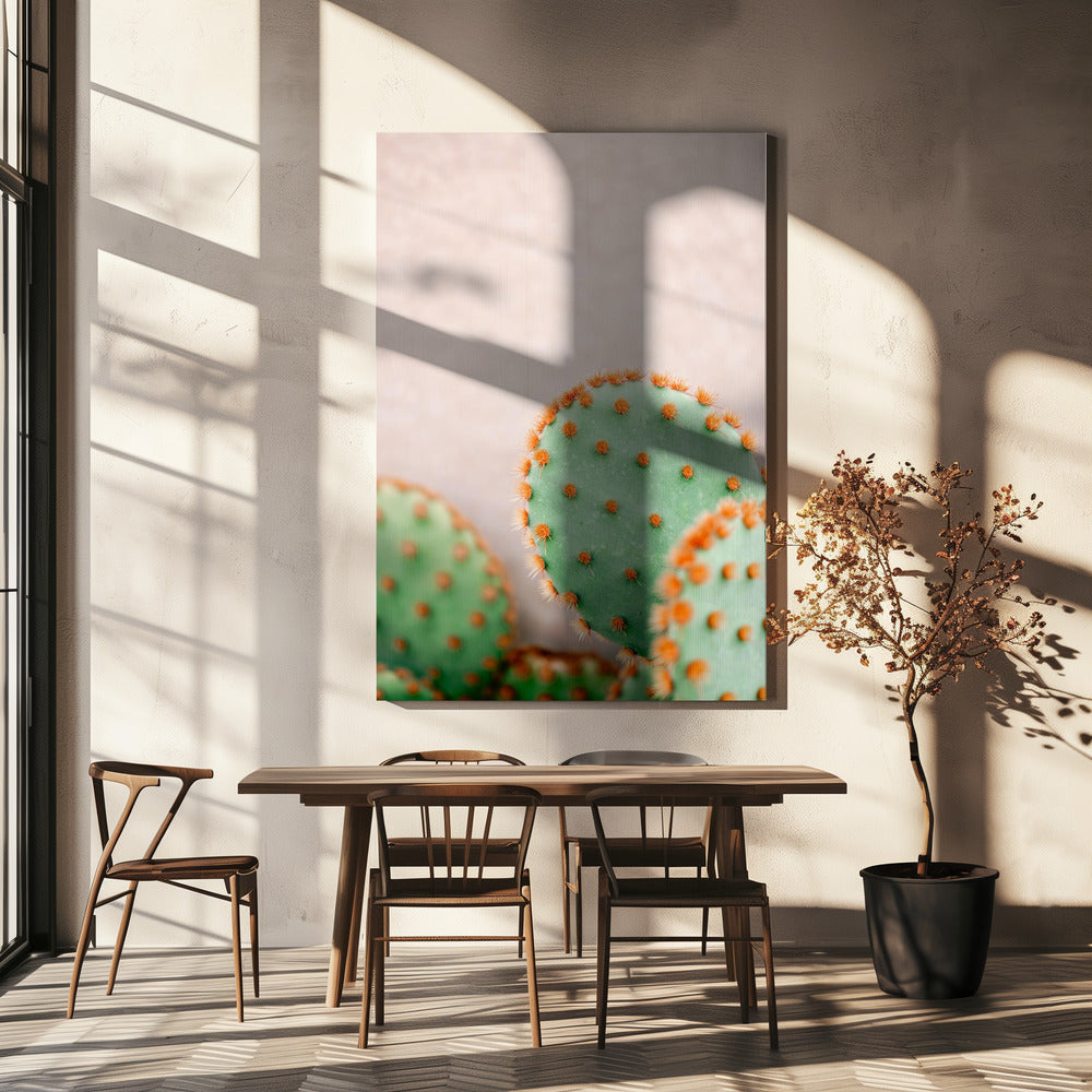 Kakteen Pastelltöne | Leinwand