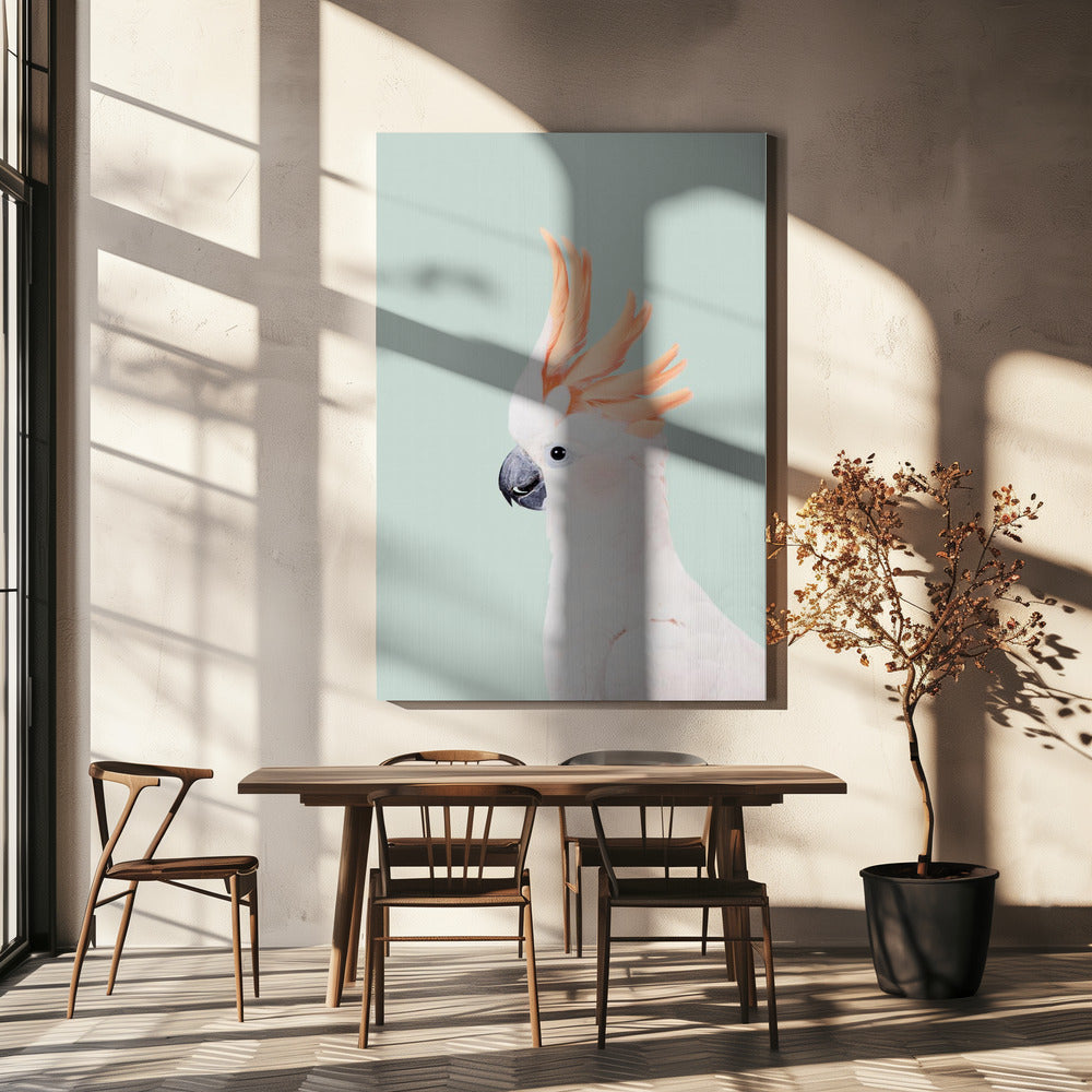 Cockatoo on Mint | Canvas