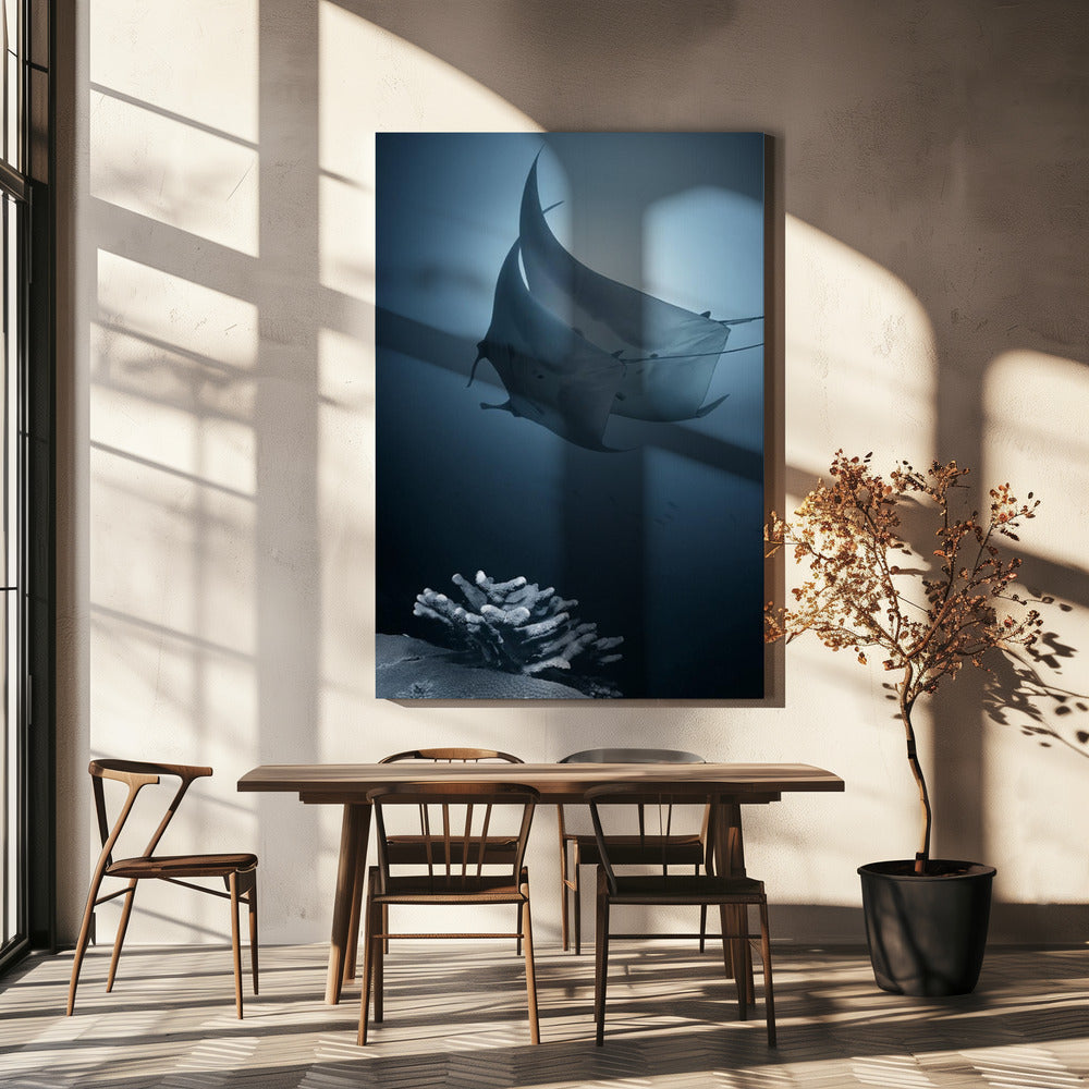 Sonata | Canvas