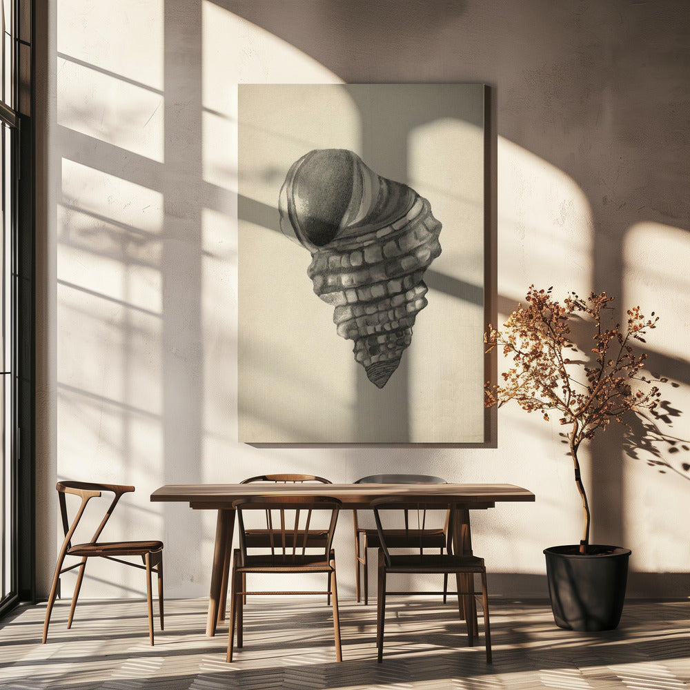 Muscheln | Leinwand