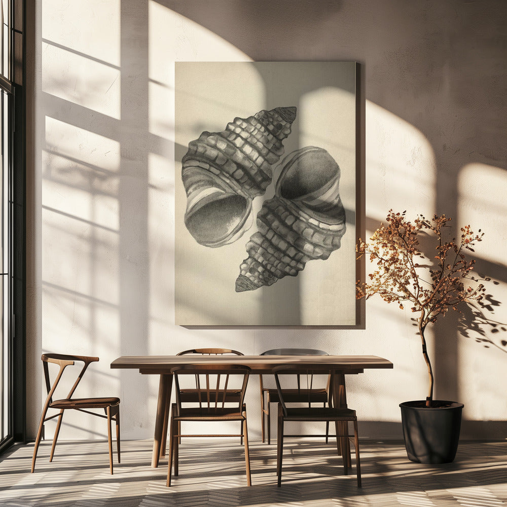 Muscheln | Leinwand