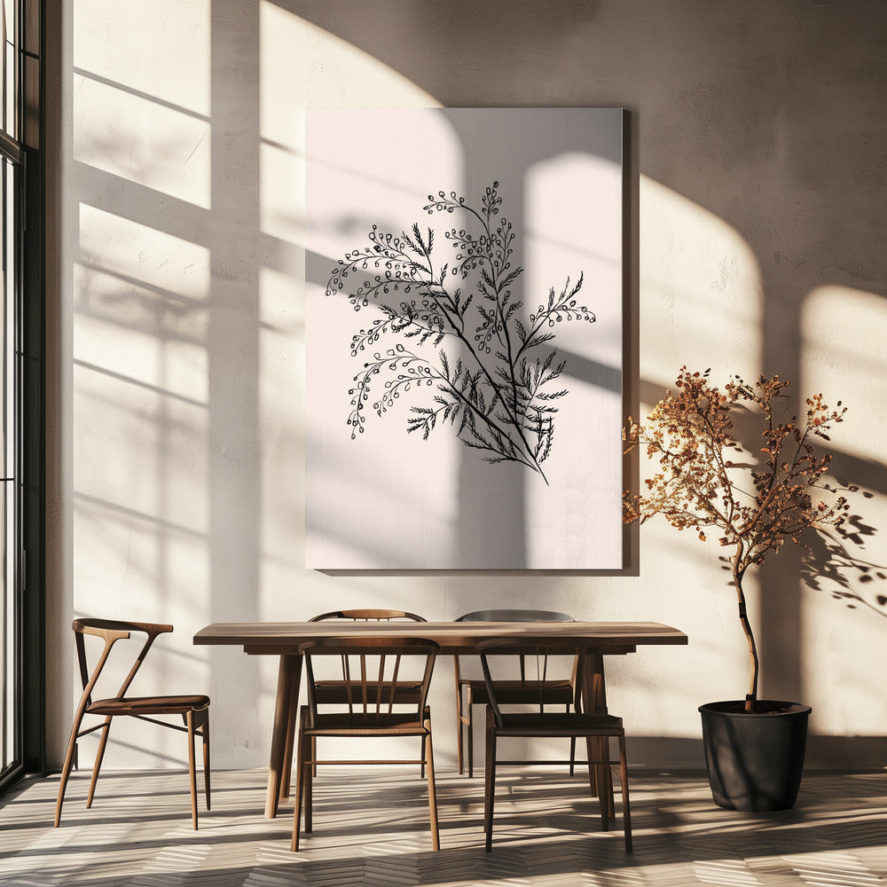 Acacia Botanical Branch | Canvas