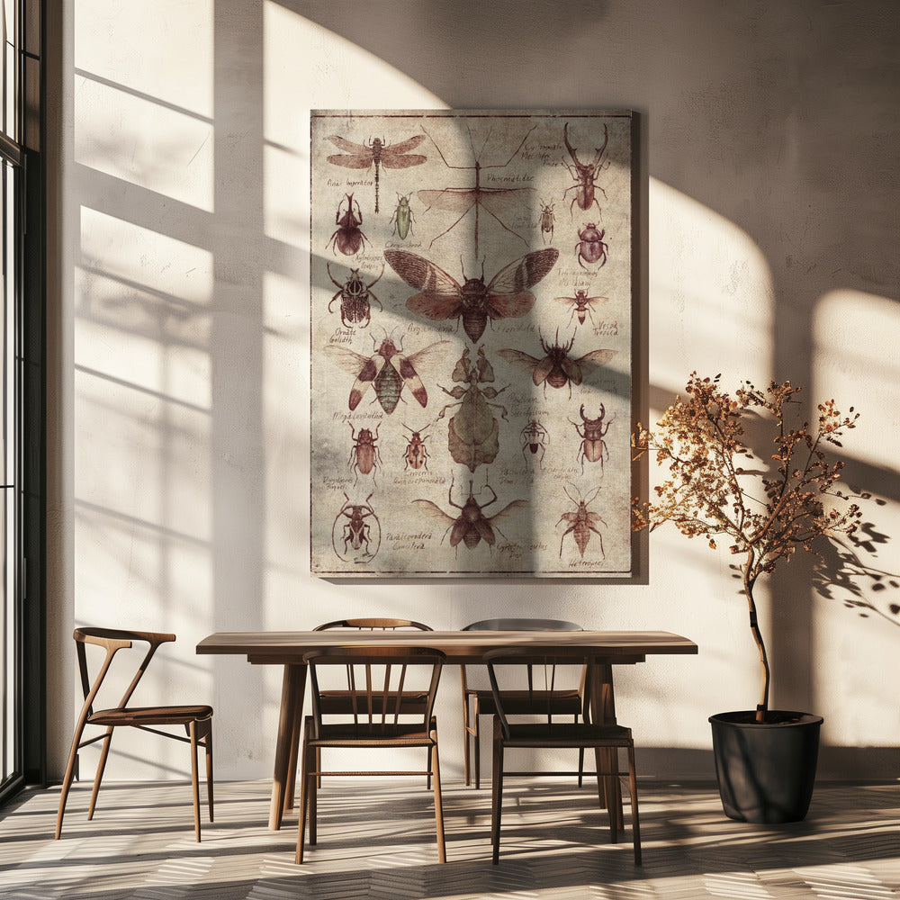 Insekten im Vintage-Stil | Leinwand