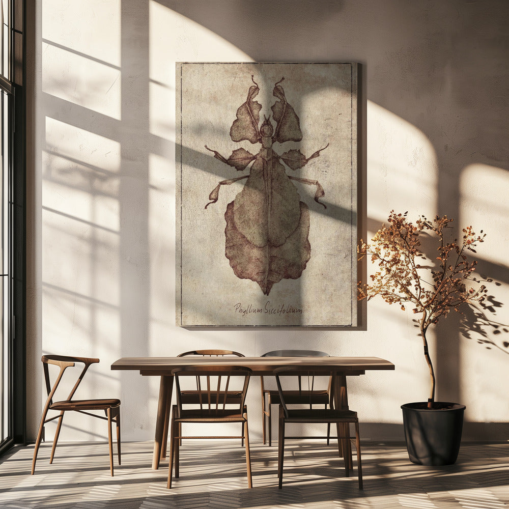 Phyllium Siccifolium Copy | Canvas