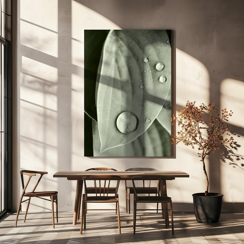 Tau auf Blatt Eleganz | Leinwand