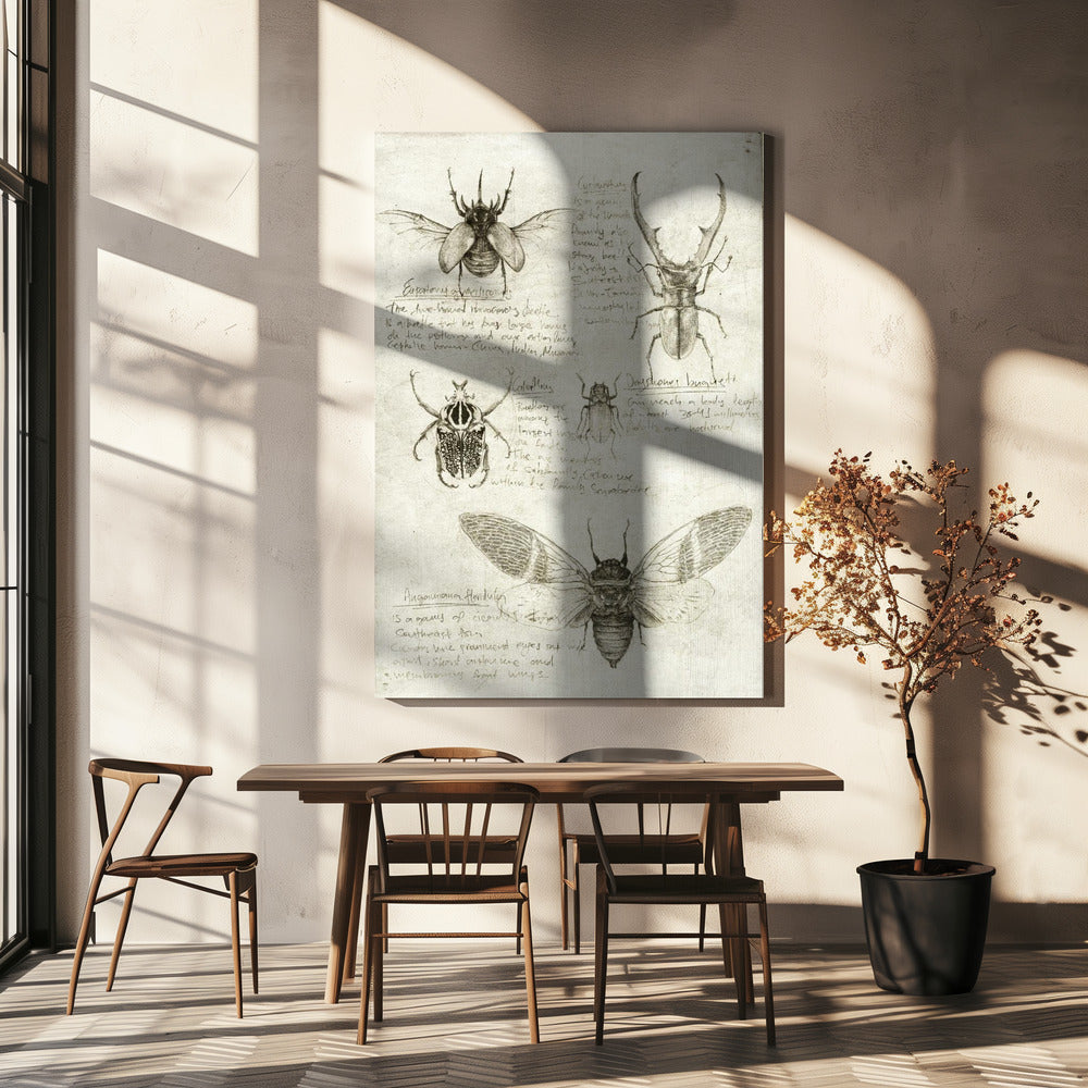 Skizzen von Käfern und Insekten | Leinwand