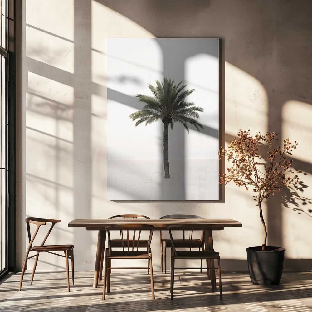 Palm | Canvas