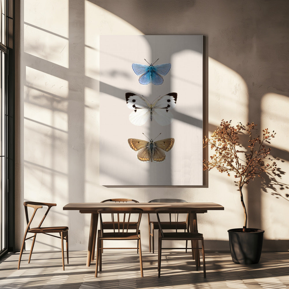 English Butterlies 2 | Canvas