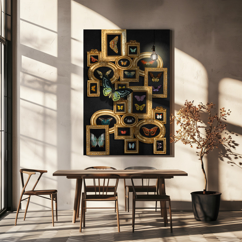 A Collection Of Butterflies | Canvas