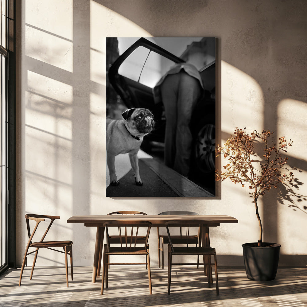 Ohne Titel | Leinwand