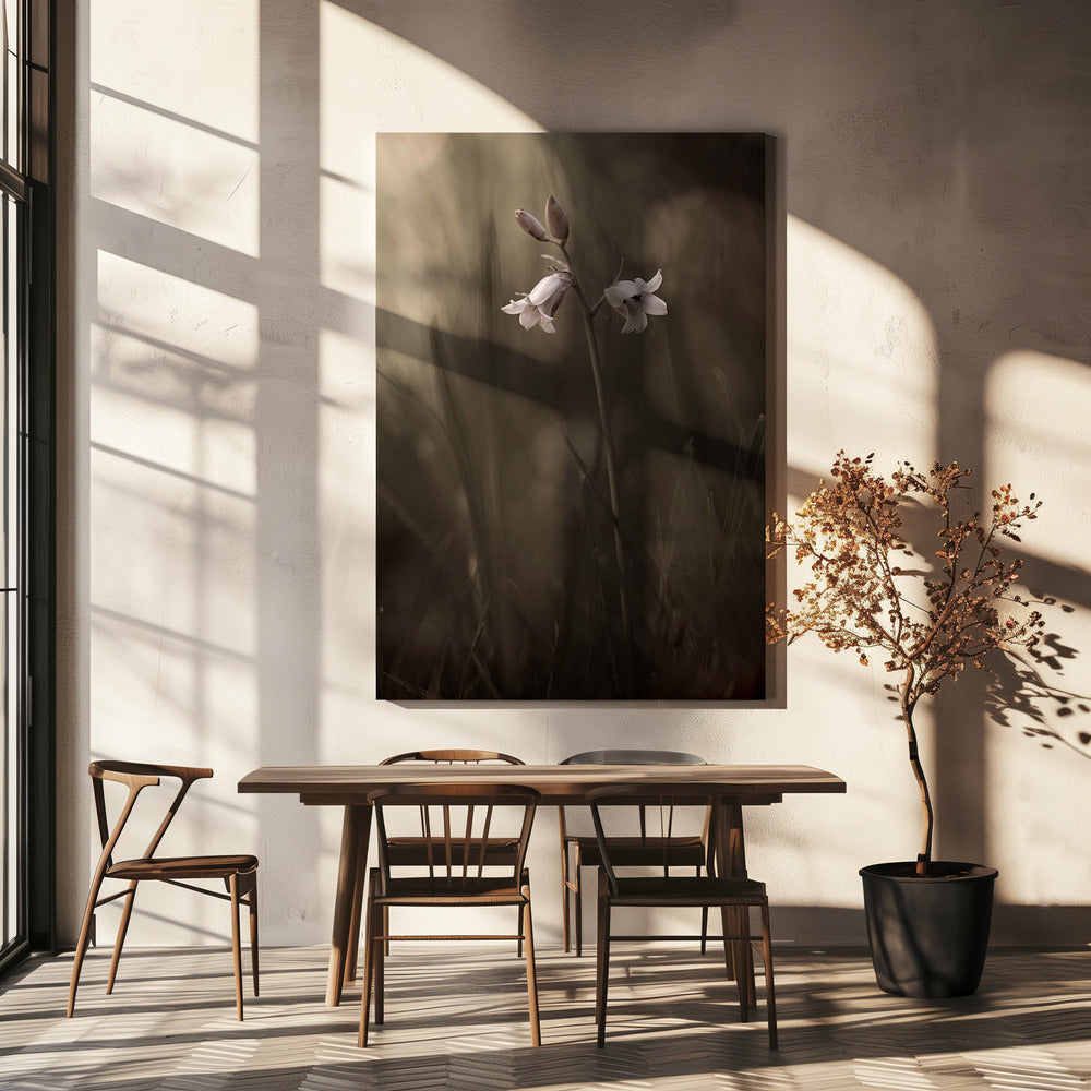 Eine kleine Blume auf dem Boden | Leinwand