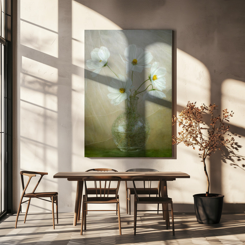 Cosmos breeze | Canvas