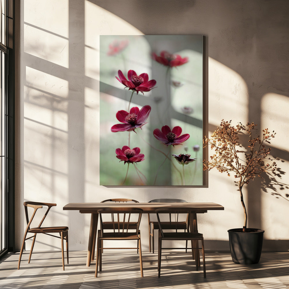 Cosmos sway | Canvas