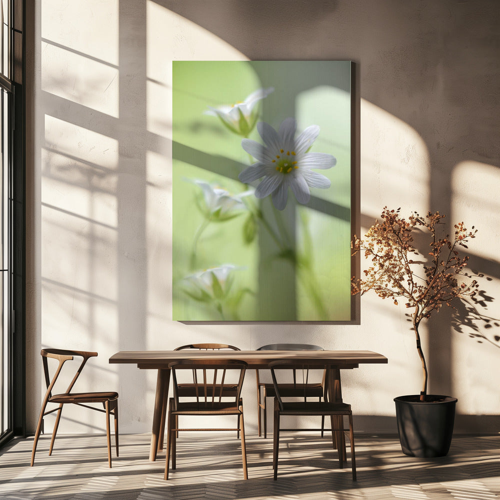 Spring sparkle | Canvas