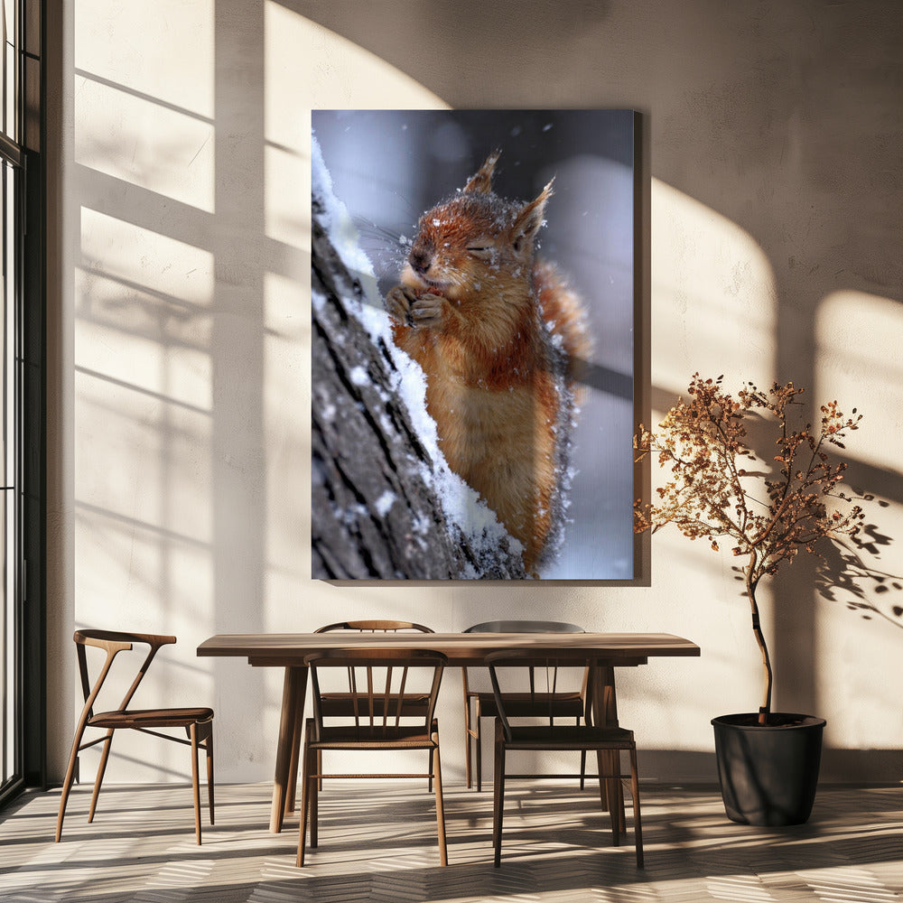 winter | Canvas