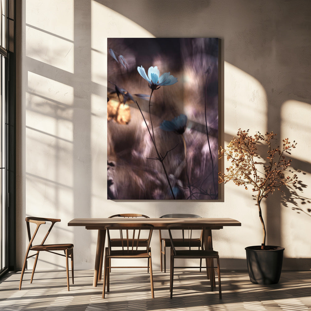 Lueur d'Automne | Canvas