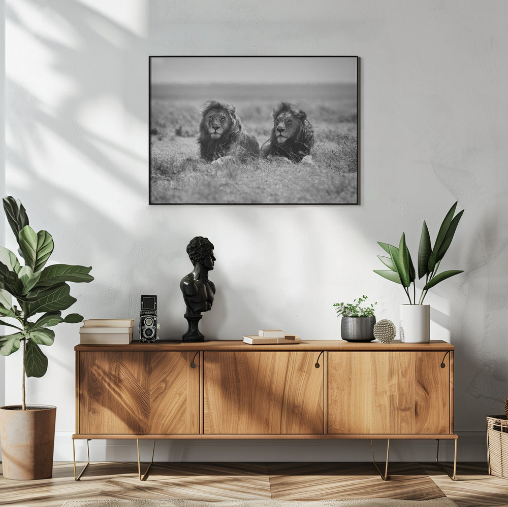 Two kings | Poster