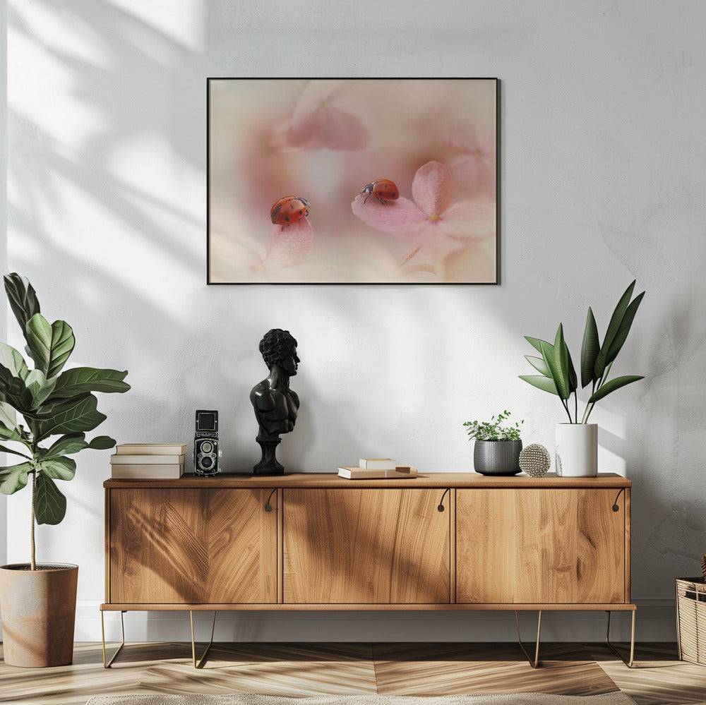 Marienkäfer auf rosa Hortensie. | Poster