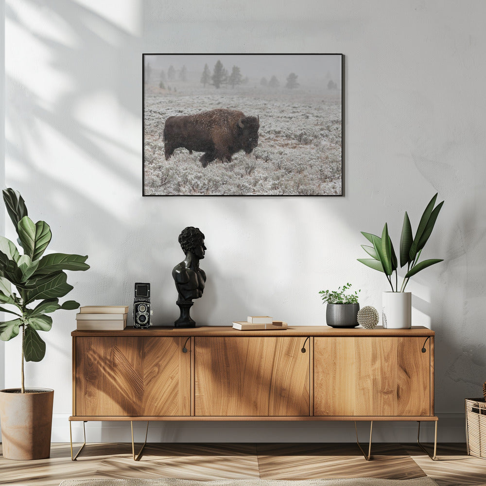 Late Fall Yellowstone | Poster