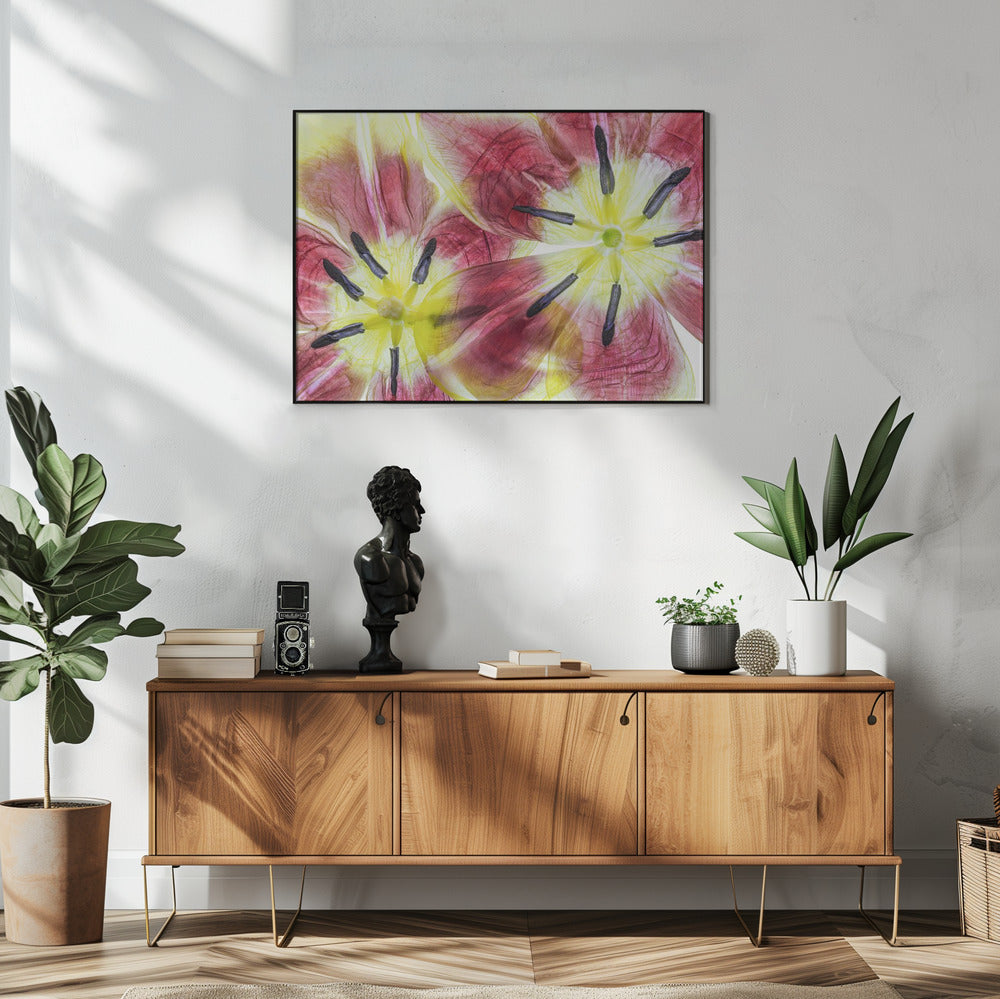 Tulips | Poster