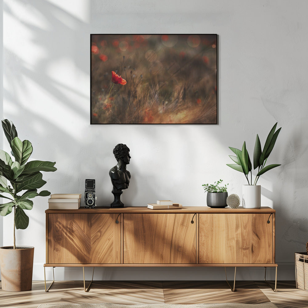 Mohn | Poster