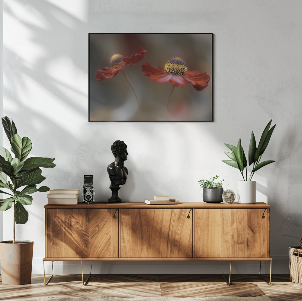 Helenium dance | Poster