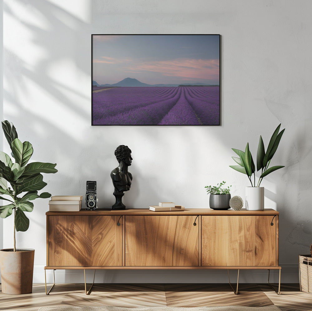 Lavender field | Poster